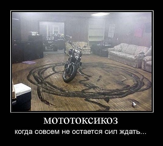 Алексей Зубов | Архангельск