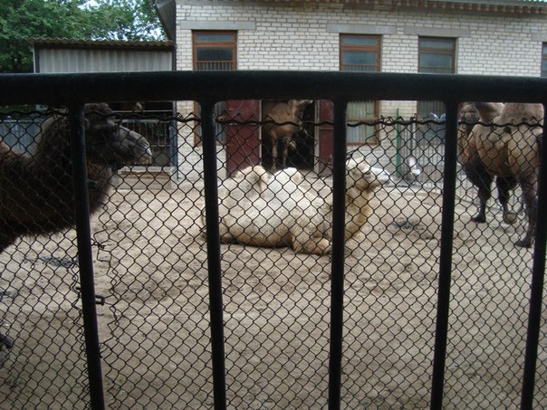 №65, Витос Клим, 40 лет, Николаев №65, Витос Клим, 40 лет, Николаев