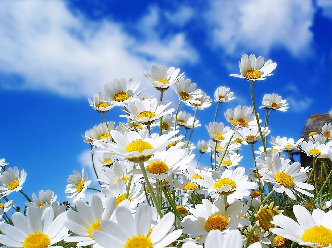 Марина Иванова | Москва