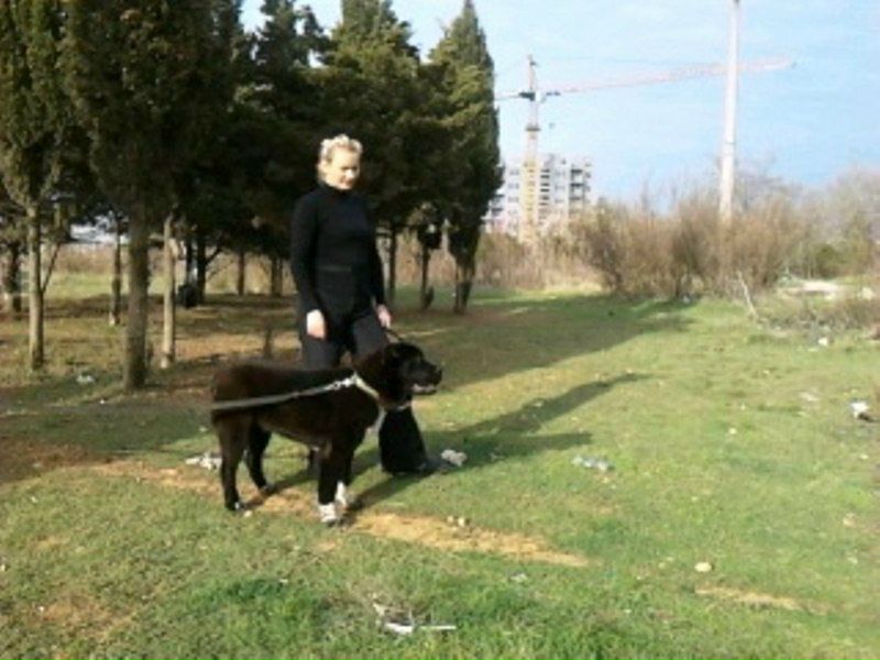 №38, Руслан Гордеев, Львов №38, Руслан Гордеев, Львов