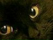 Алсу Мурыгина | Казань