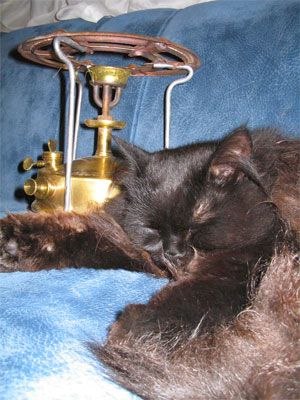 Алексей Ламбин | Тобольск