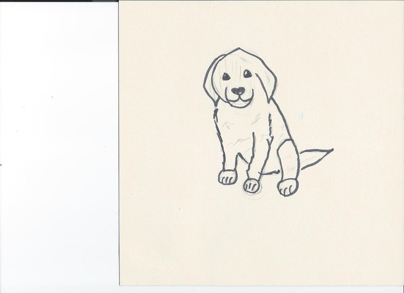 Алина Надеева | Волгоград