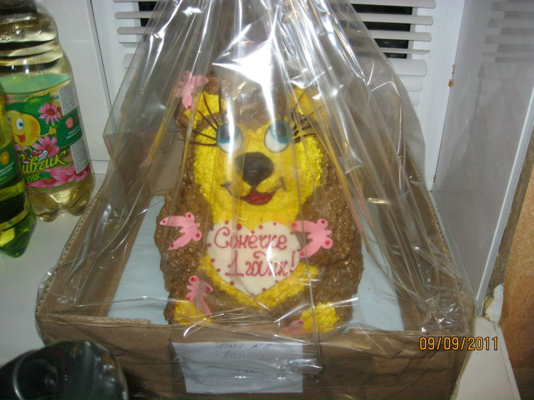 Светлана Козачек | Харьков