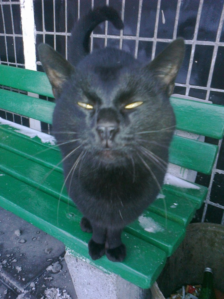 Спартак Веденькин | Москва