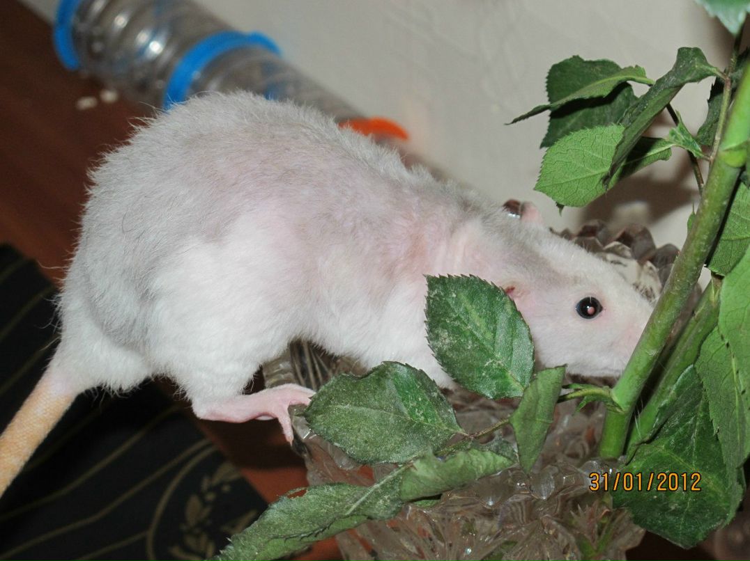 Анастасия Кучукова Zam-Zam | Москва