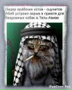 Фотография Игорь Кругликов
