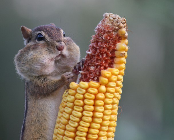 Татьяна Мухсинова | Челябинск