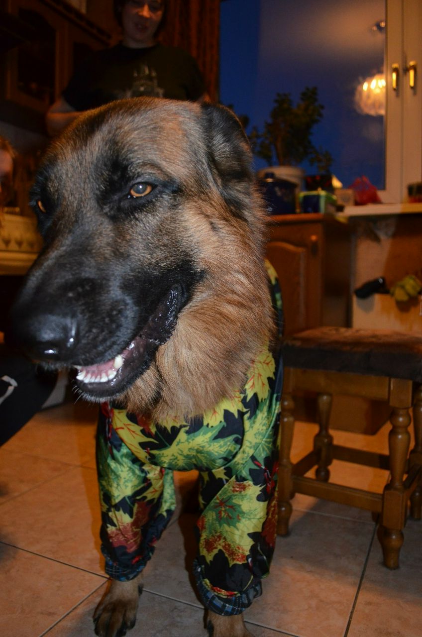 Сергей Дворянкин | Тула