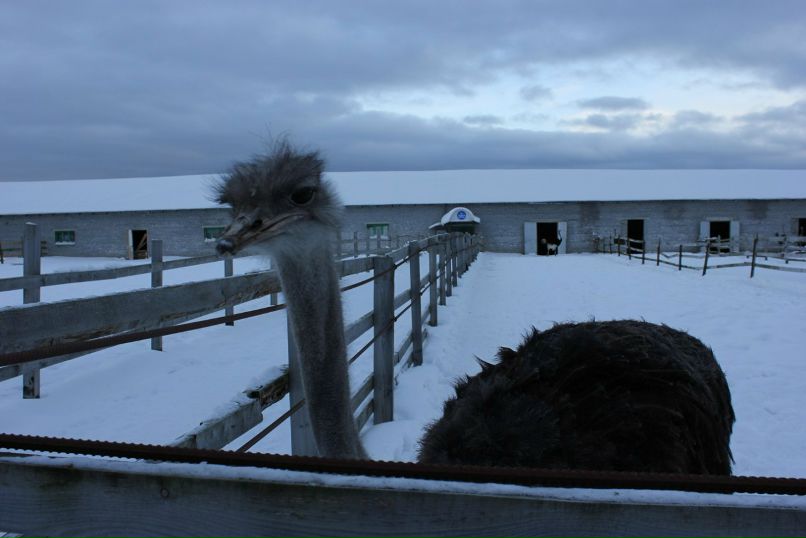 Ольга Чупракова | Мурманск