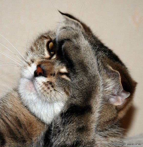 №30, Наталья Радова, Тирасполь №30, Наталья Радова, Тирасполь