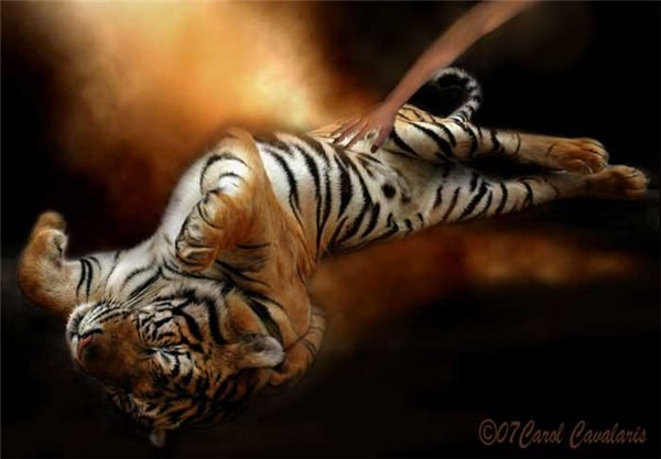 Оксана Ра | Иркутск