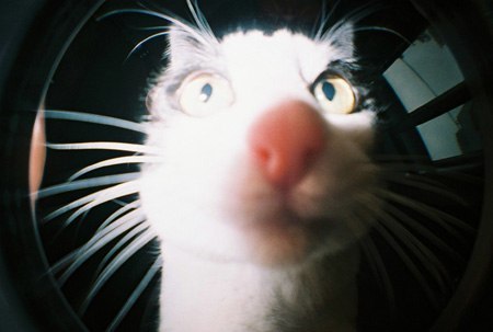 Виталик Шевченко | Луганск