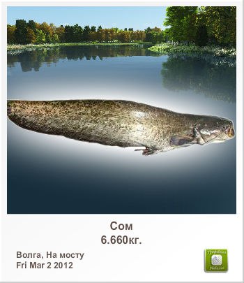 Дмитрий Лабузов Викторович | 