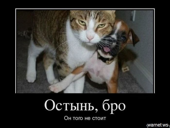 Алексей Morikito Людмилович | Москва