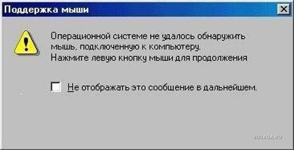 Кристина Наумова | 