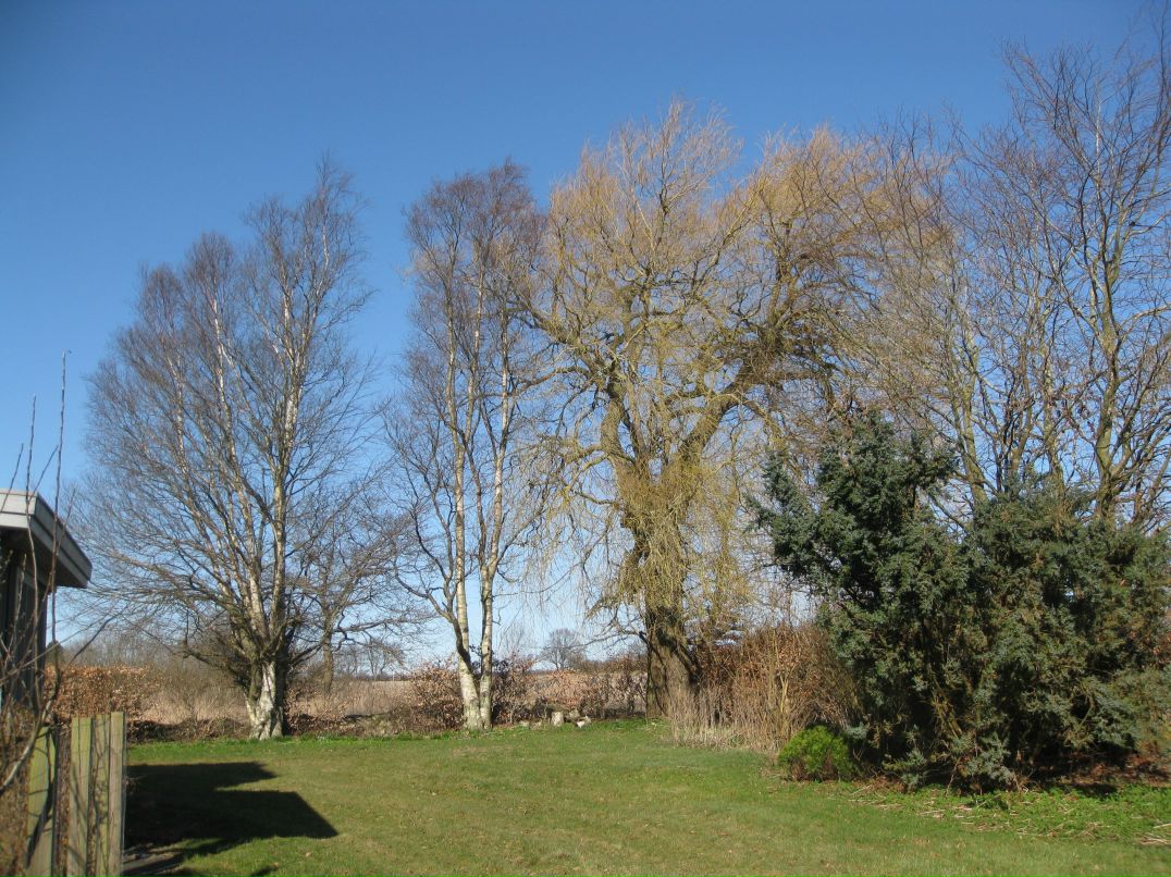 Ксения Морозова | 