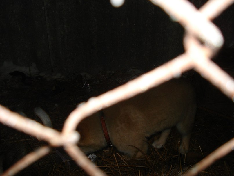 Анастасия Орлова | Ханты-Мансийск