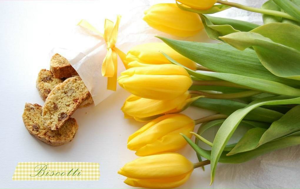 Алёна Васинович | Киев