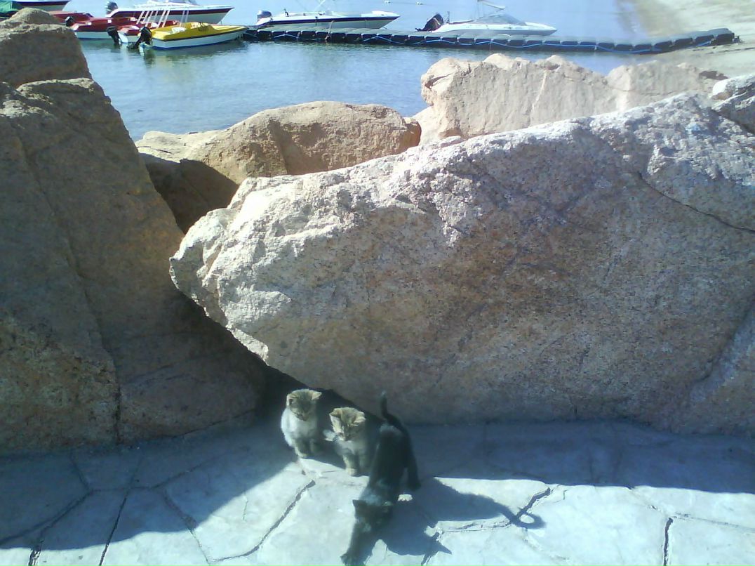 Людмила Рухленко | Москва