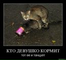 Фотография Marius Crginovskiy