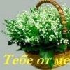 Аватар: Светлана Лебедева