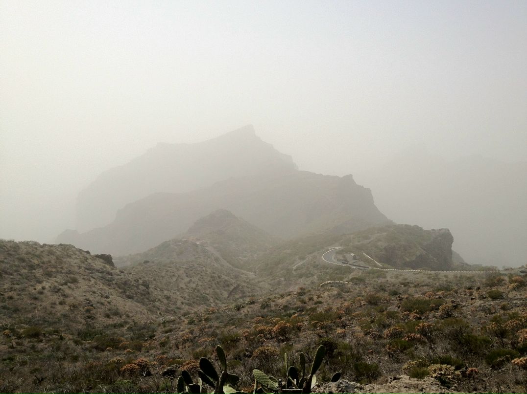 Сергей Ковалёв Солнечный | Санкт-Петербург