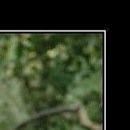 №62, Виталина Мач, Харьков №62, Виталина Мач, Харьков