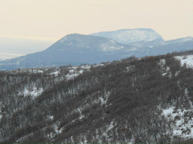 Игорь Баженов | 