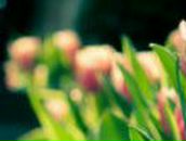 Татьяна Колясникова | Челябинск