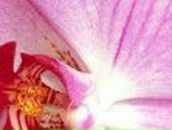 Татьяна Колясникова | Челябинск