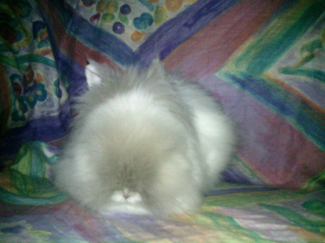 Юлия Пупкова | Киев