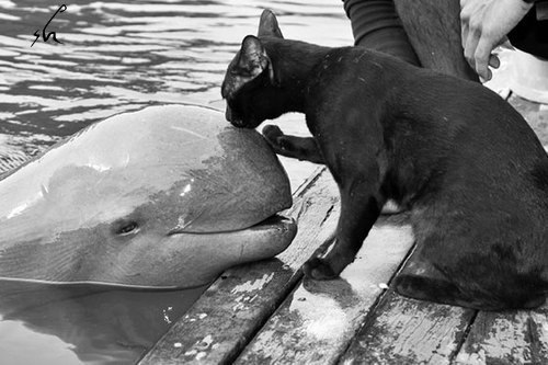 Samanta Jones | Stuttgart