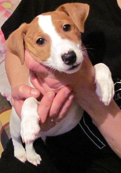 Владимир Завьялов | Москва