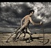 Владимир Осадчук фотография #32