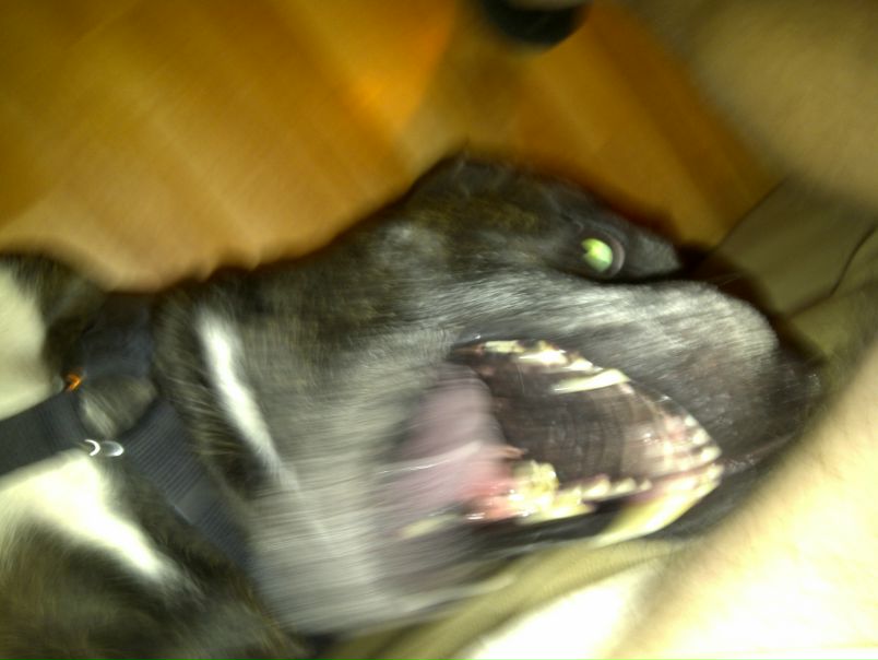 №22, Андрей Ритулин, 37 лет №22, Андрей Ритулин, 37 лет