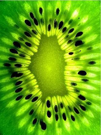 Лена Руднева | Москва