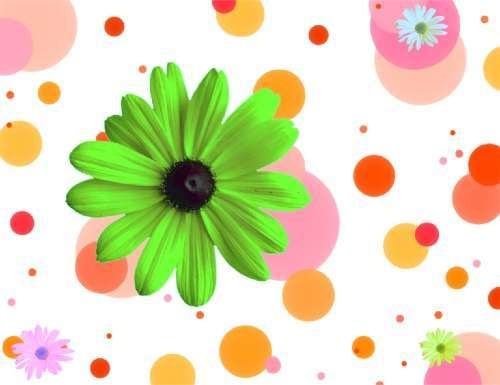 №11, Дмитрий Стародымов, Краснодар №11, Дмитрий Стародымов, Краснодар