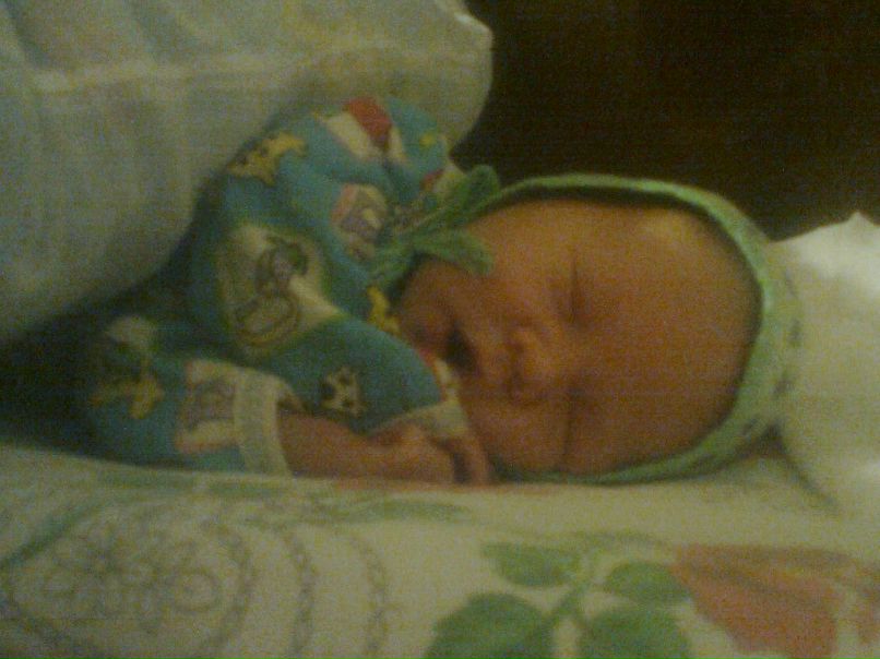 Юлия Розина | Онега