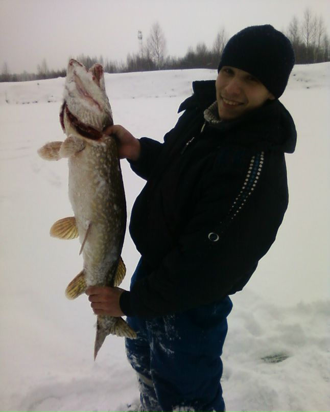 Максим Стрельченко | Дубна