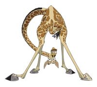 №17, Егор, Днепр (Днепропетровск) №17, Егор, Днепр (Днепропетровск)