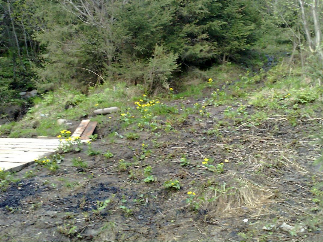 Александр Березин | Тюмень