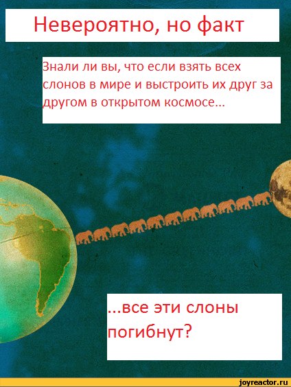 Гена Федоренко nage | Николаев