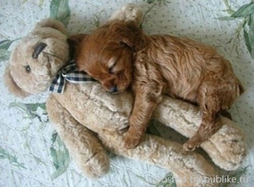 №21, Юлия Цыкалюк, 35 лет, Киев №21, Юлия Цыкалюк, 35 лет, Киев