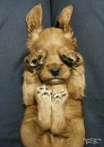 Ольга Романова | Тверь