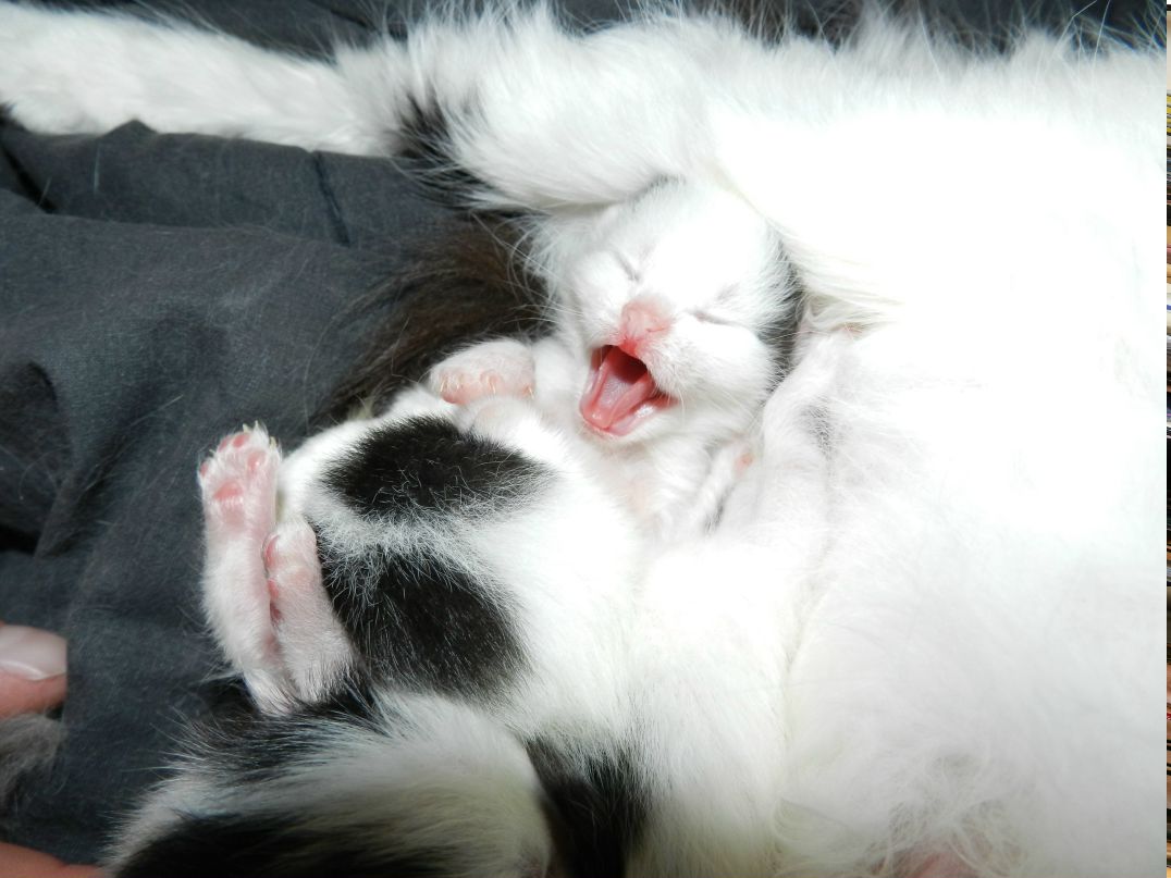 Андрей Атапин | Москва