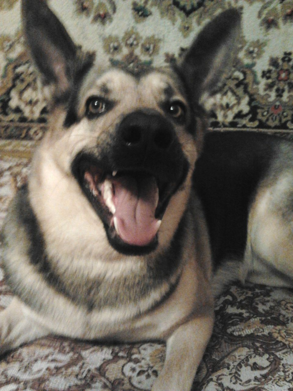 Наталья Лебедева Doom | Кострома