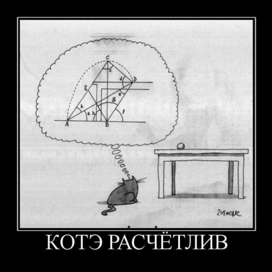 Олег Шевченко | Черкассы