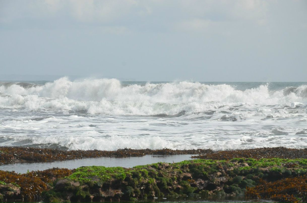 Сергей Авдеев | Сергиев Посад