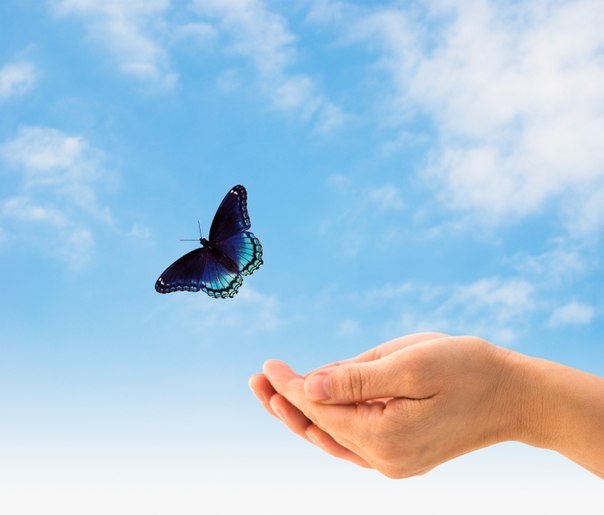 Марина Карпова | Санкт-Петербург